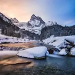 Parkhotel Du Sauvage 4* Meiringen