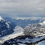 Parkhotel Du Sauvage Hotel Meiringen