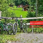 Hotel Parkhotel Du Sauvage 4*