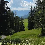 Parkhotel Du Sauvage Meiringen