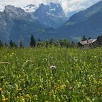 Parkhotel Du Sauvage 4* Meiringen