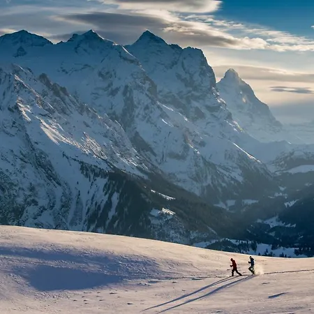 Parkhotel Du Sauvage Hotel Meiringen