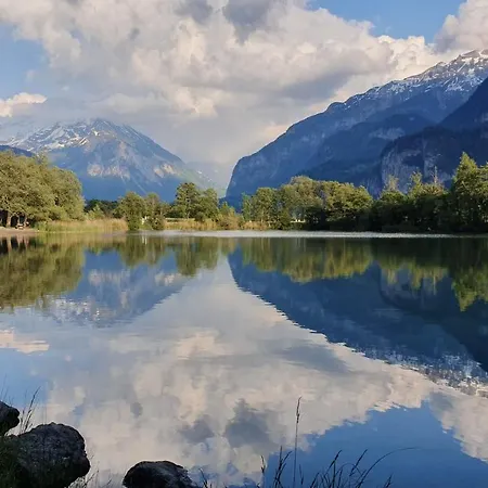 Parkhotel Du Sauvage Hotel Meiringen