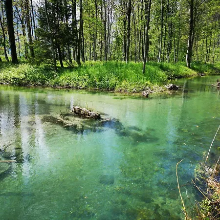 Parkhotel Du Sauvage Hotel 4*