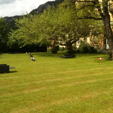 Parkhotel Du Sauvage 4* Meiringen