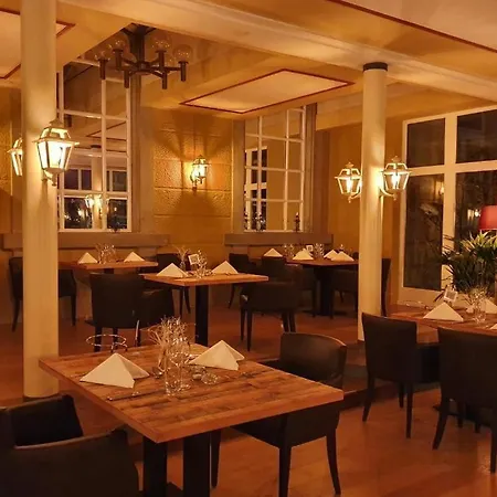 Hotel Parkhotel Du Sauvage 4*