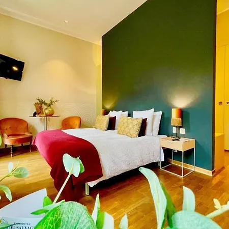 Parkhotel Du Sauvage ホテル マイリンゲン