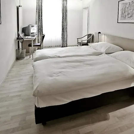 ホテル Parkhotel Du Sauvage マイリンゲン