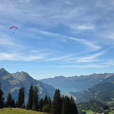 Parkhotel Du Sauvage Hotel Meiringen