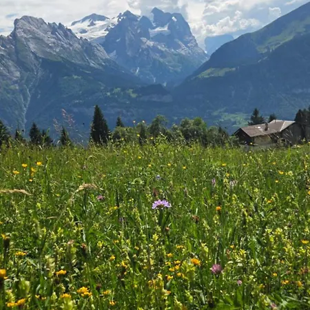 Parkhotel Du Sauvage 4* Meiringen