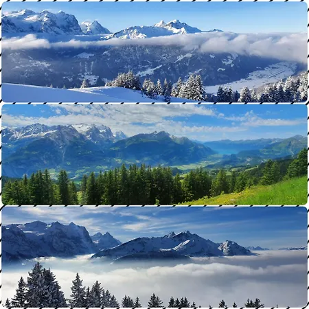 Parkhotel Du Sauvage 4* Meiringen