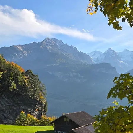 Parkhotel Du Sauvage Hotel Meiringen