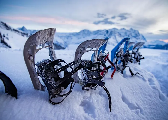 Hotel Parkhotel Du Sauvage