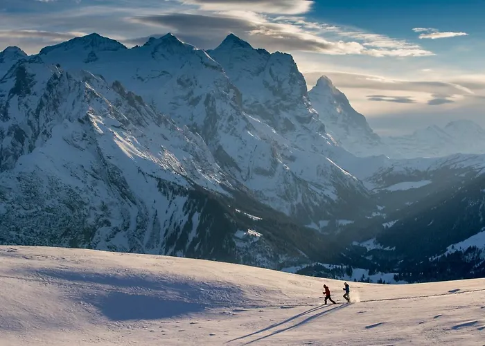 Parkhotel Du Sauvage Hotel Meiringen