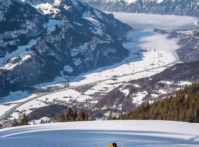 فندق بارك دو سوفاج