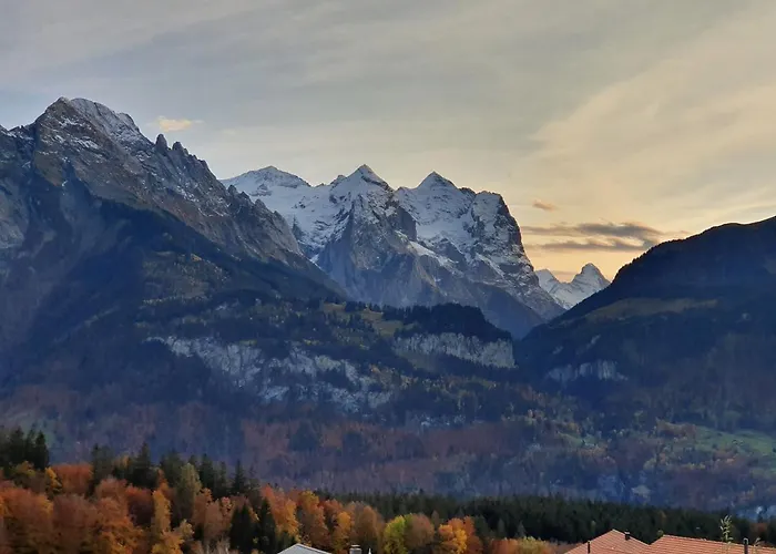 Hotel Parkhotel Du Sauvage Meiringen