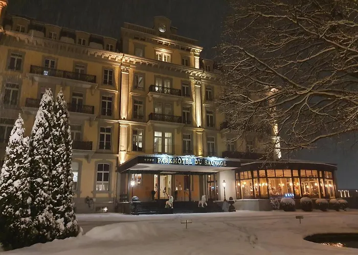 Parkhotel Du Sauvage 4*