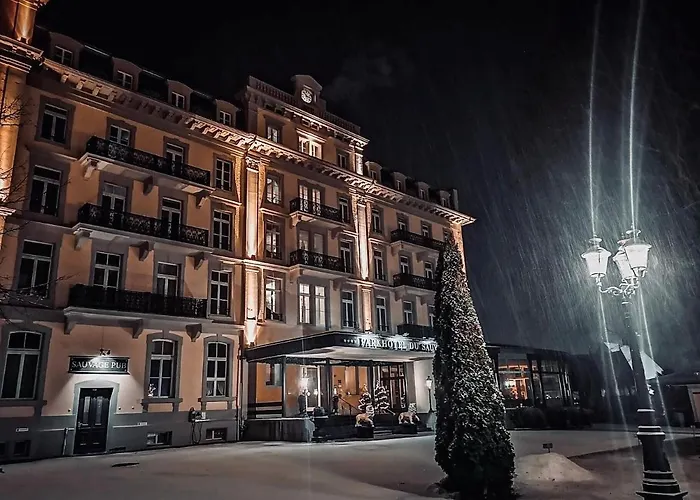 Hotel Parkhotel Du Sauvage 4*