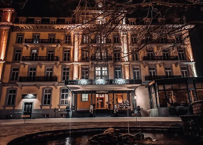 Parkhotel Du Sauvage Hotel 4*