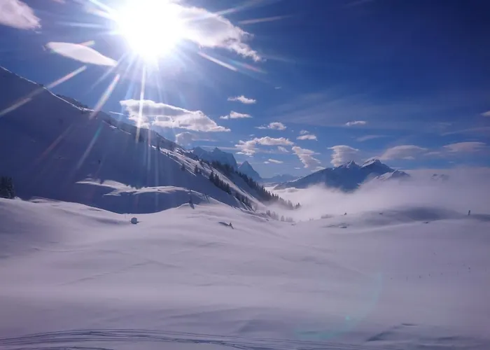 Parkhotel Du Sauvage