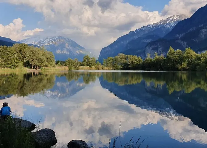 Parkhotel Du Sauvage Hotel Meiringen