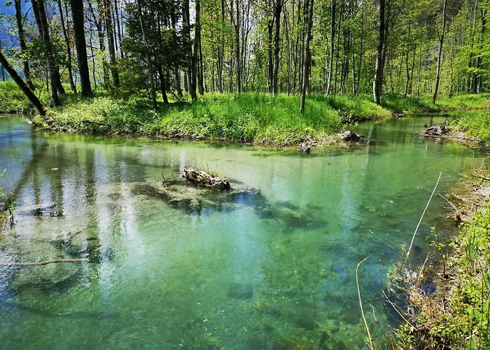 Parkhotel Du Sauvage Hotel 4*