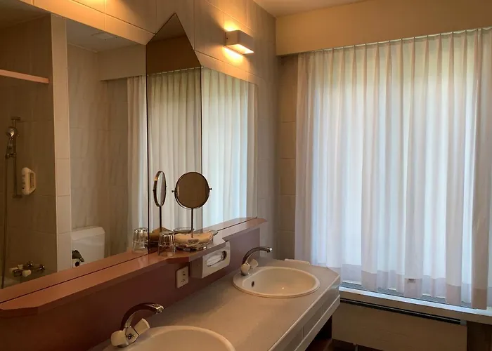 Parkhotel Du Sauvage