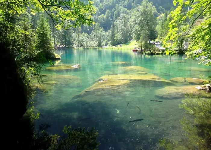 Parkhotel Du Sauvage Hotel 4*