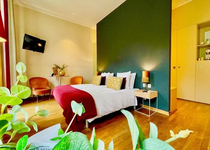 بارك دو سوفاج فندق ميرنغن