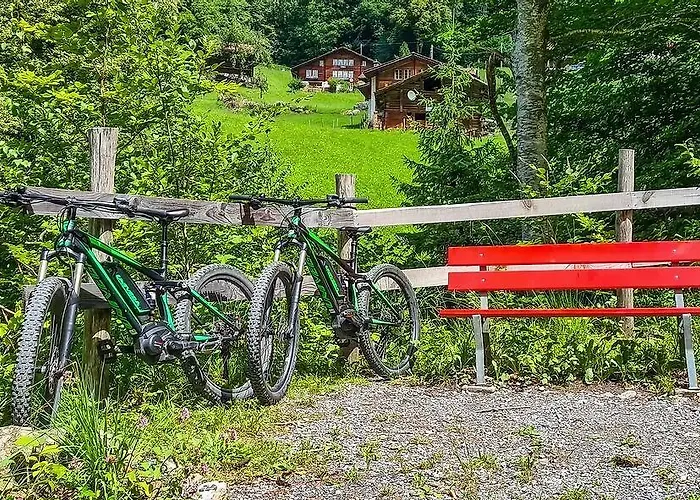 Hotel Parkhotel Du Sauvage 4*