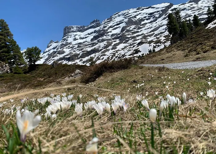 Parkhotel Du Sauvage Hotel 4*