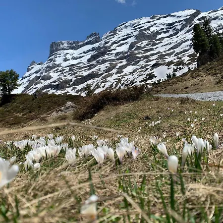파크호텔 뒤 소바지 호텔 4*