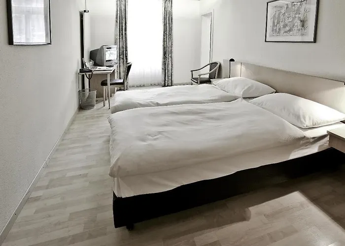 Hotel Parkhotel Du Sauvage Meiringen