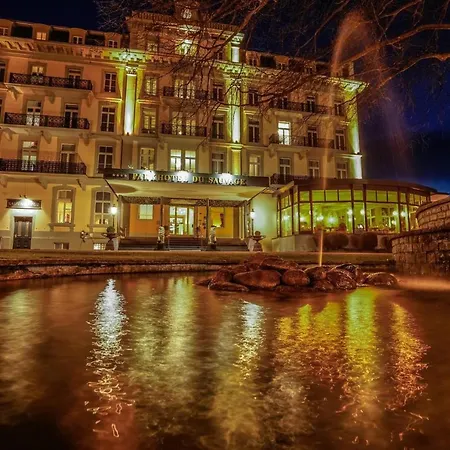 Parkhotel Du Sauvage Hotel 4*