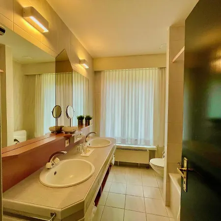 Parkhotel Du Sauvage 4* Meiringen